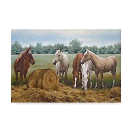 Carol J Rupp 'Morning Hay' Canvas Art,22x32